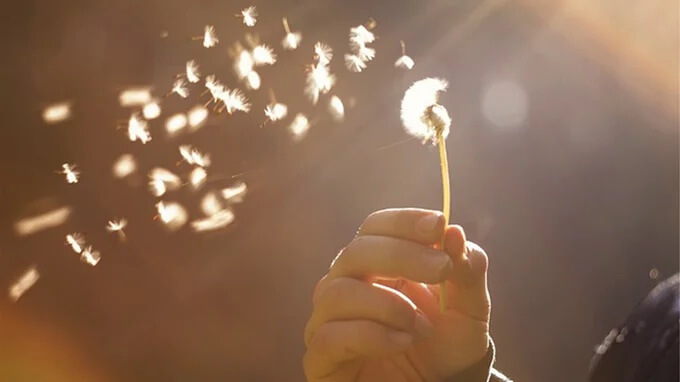 Carême Jour 44 – Prie pour les âmes du purgatoire