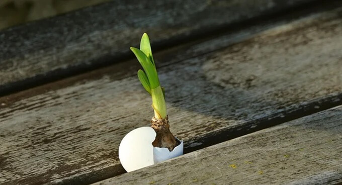 Carême Jour 45 – Médite Isaïe 43, 18-19 (Je fais une chose nouvelle !)