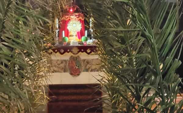 Messe des Rameaux et de la Passion - 2026